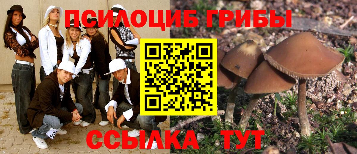 Галлюциногенные грибы MAGIC MUSHROOMS  Вход с VPN  Псилоцибиновые грибы прущие грибы  Волгодонск 