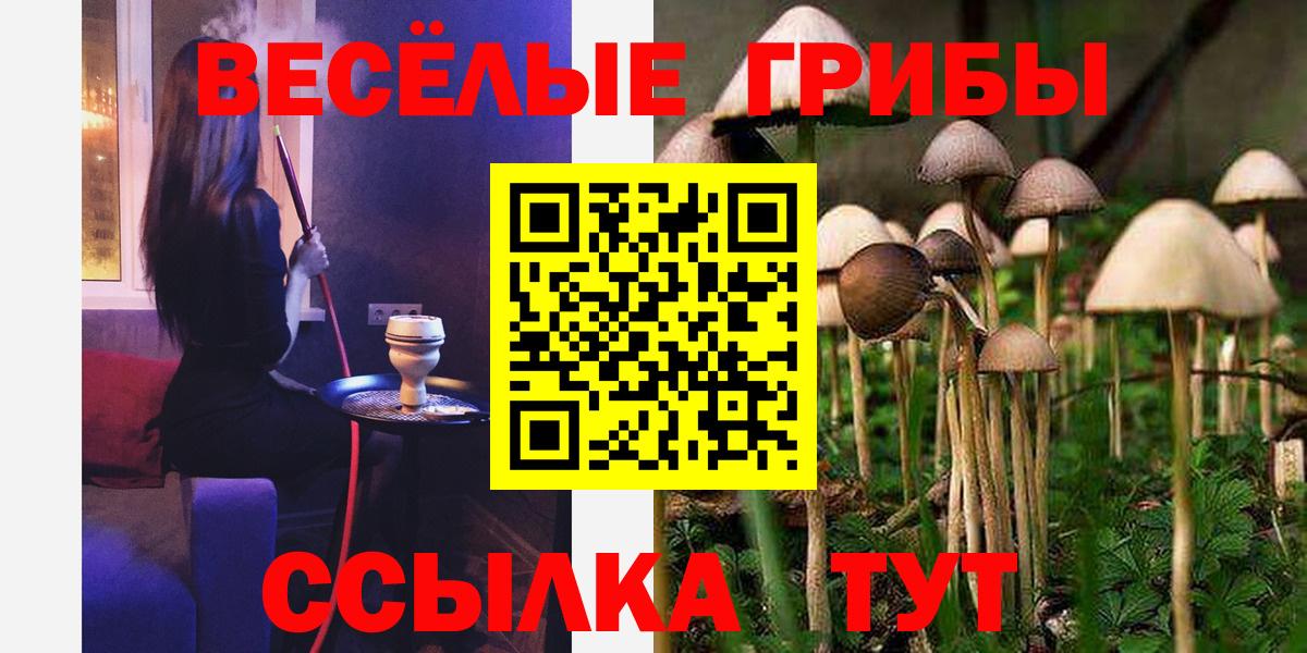 Псилоцибиновые грибы Psilocybe Волгодонск